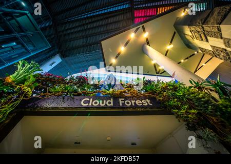 Avatar - l'esperienza a Clouds Forest, Gardens by the Bay, Singapore. Foto Stock