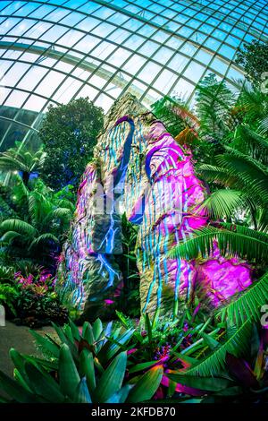 Avatar - l'esperienza a Clouds Forest, Gardens by the Bay, Singapore. Foto Stock