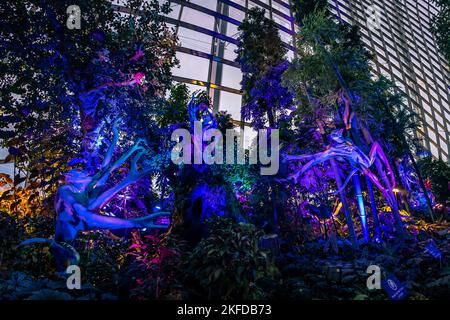 Avatar - l'esperienza a Clouds Forest, Gardens by the Bay, Singapore. Foto Stock