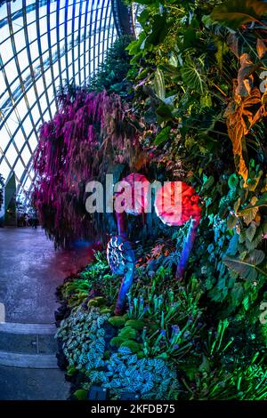 Avatar - l'esperienza a Clouds Forest, Gardens by the Bay, Singapore. Foto Stock