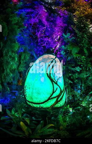 Avatar - l'esperienza a Clouds Forest, Gardens by the Bay, Singapore. Foto Stock