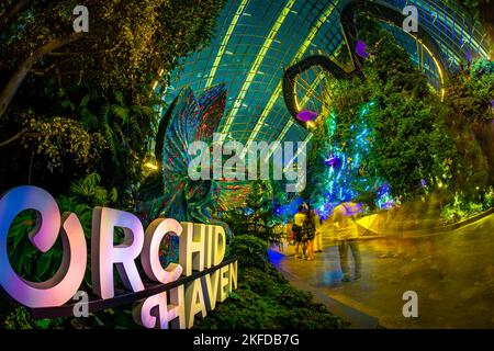 Avatar - l'esperienza a Clouds Forest, Gardens by the Bay, Singapore. Foto Stock