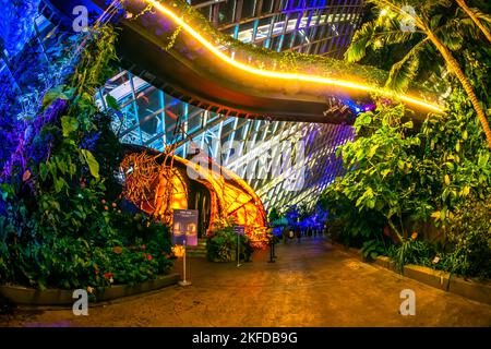Avatar - l'esperienza a Clouds Forest, Gardens by the Bay, Singapore. Foto Stock