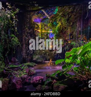 Avatar - l'esperienza a Clouds Forest, Gardens by the Bay, Singapore. Foto Stock