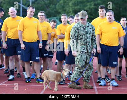 220909-N-GR655-0095 GROTON, Conn. (9 settembre 2022) – Chief Petty Officer John Anderson, un tecnico di elettronica (navigazione) assegnato al Naval Submarine Support Facility New London, cammina il capro Millie in pista prima di un test di preparazione fisica mattutino a bordo della base Naval Submarine New London a Groton, Conn., 9 settembre. La capra del bambino è una mascotte per la zona di Groton il capo del ufficiale piccolo seleziona. Il capo dell'anno fiscale 2023 seleziona tra tutti i comandi della zona di Groton sta partecipando a un periodo di allenamento di sei settimane in tutta la Marina, progettato per aumentare la fiducia, la fiducia e il lavoro di squadra. Foto Stock