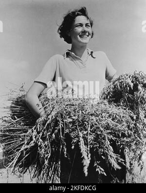 Donna britannica circa aprile 1943 che lavora in una fattoria come parte del Women's Land Army aiutando a produrre cibo durante la seconda guerra mondiale Foto Stock