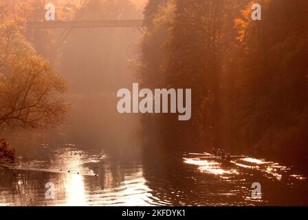 Kingsgate Bridge e Rowers on the River Wear, Durham, Regno Unito Foto Stock