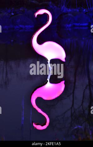 Neon Flamingo sul lago al Light Art Festival di Gruga Essen in Germania Foto Stock