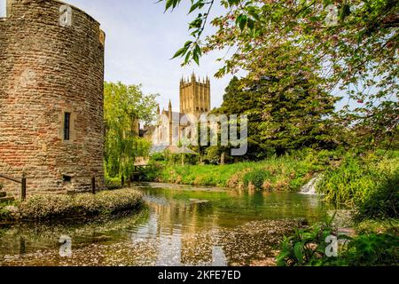 La magnifica cattedrale si riflette nel fossato del Palazzo Vescovile a Wells, Somerset, Inghilterra, Regno Unito Foto Stock