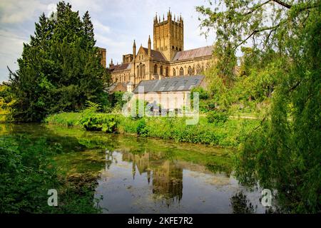 La magnifica cattedrale si riflette nel fossato del Palazzo Vescovile a Wells, Somerset, Inghilterra, Regno Unito Foto Stock