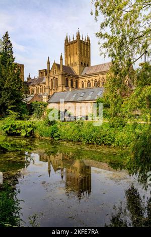 La magnifica cattedrale si riflette nel fossato del Palazzo Vescovile a Wells, Somerset, Inghilterra, Regno Unito Foto Stock