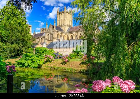 La magnifica cattedrale si riflette nel fossato del Palazzo Vescovile a Wells, Somerset, Inghilterra, Regno Unito Foto Stock