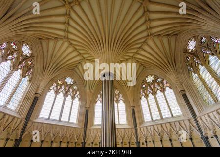 La ventola decorativo soffitto a volta della casa del Capitolo nella Cattedrale di Wells, Somerset, Inghilterra, Regno Unito Foto Stock