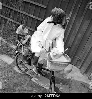 Una madre negli anni '1960s Una giovane donna sorridente è vestita con abiti da pioggia e corre in bicicletta con la figlia con un gatto di fronte alla bicicletta in un cesto. Svezia 1967 Foto Stock