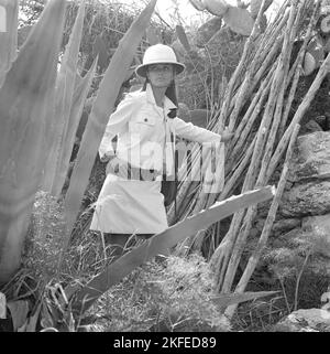 Fashion shoot sull'isola spagnola Ibiza negli anni '1960s. Un modello di moda in decadi alla moda spedizione look, indossando una giacca bianca sopra un abito. Un cappello tropico migliora il look. 1967 Foto Stock