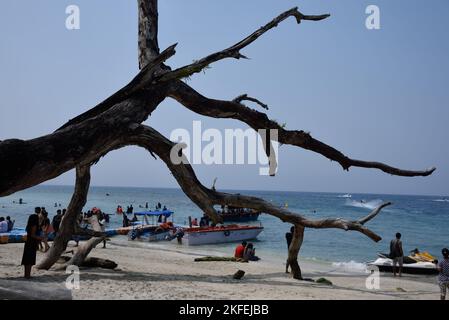 Driftwood, Elephant Beach, Havelock Island, Swaraj Dweep, Andaman e Nicobar Islands, Union Territory, UT, India Foto Stock