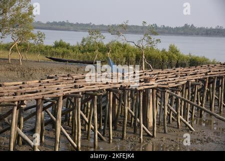 Molo di bambù, Pakhiralay, Gosaba, Sunderban, Sud 24 Pargana, Bengala Occidentale, India Foto Stock