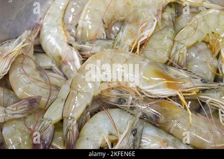 Gamberi freschi, frutti di mare è un animale economico che è ampiamente popolare. Tutti i paesi consumano Foto Stock