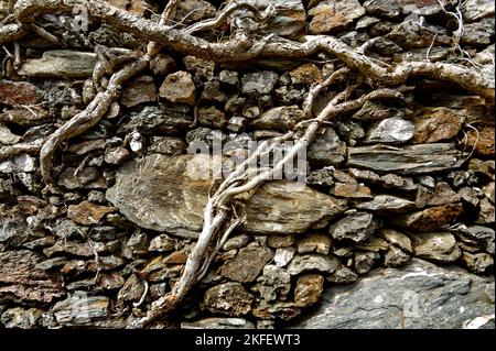 Muro di pietra nel Devon meridionale Foto Stock