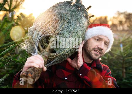L'uomo comprò un albero di Natale portandolo a casa Foto Stock