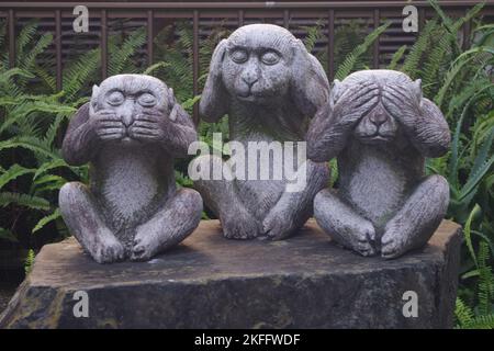 Tre Scimmie sagge Foto Stock