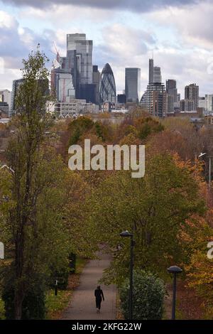 Londra, Inghilterra, Regno Unito. 18th Nov 2022. Una vista generale dello skyline della Citta' di Londra vista da Stave Hill. Il ministro delle finanze del Regno Unito, il Cancelliere dello scacchiere Jeremy Hunt, ha confermato che il Regno Unito è ufficialmente caduto in una recessione per la prima volta dal 2008, mentre il paese si trova ad affrontare il più grande calo degli standard di vita mai registrato. (Credit Image: © Thomas Krych/ZUMA Press Wire) Foto Stock