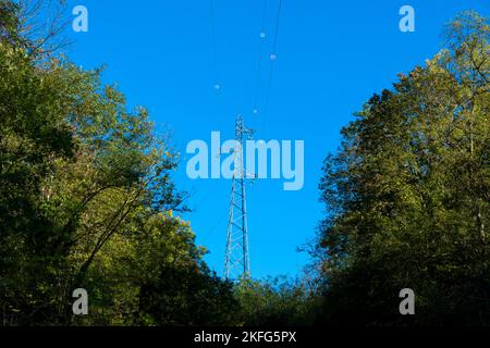 Linee ad alta tensione, dipartimento di Puy de Dome, Auvergne Rhone Alpes, Francia, Europa Foto Stock