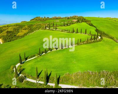 Vista in pianta di una strada tortuosa con cipressi nella campagna toscana. Chianciano, Provincia di Siena, Italia Foto Stock