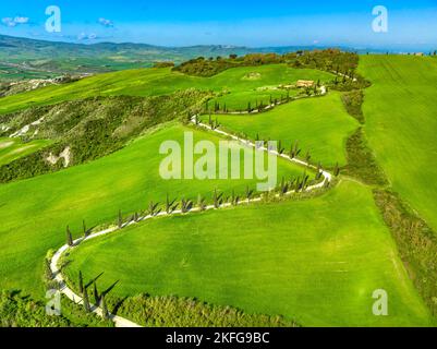 Vista in pianta di una strada tortuosa con cipressi nella campagna toscana. Chianciano, Provincia di Siena, Italia Foto Stock