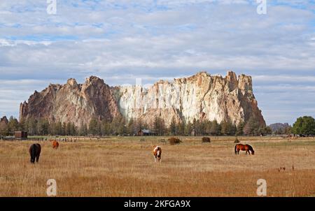 I cavalli pascolano vicino allo Smith Rock state Park, Oregon, un enorme deposito di materiale vulcanico e una delle principali aree di arrampicata negli Stati Uniti Foto Stock