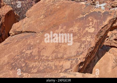 Twyfelfontein, Namibia - 07 16 2013: Le incisioni rupestri sono patrimonio dell'umanità dell'UNESCO nella Namibia settentrionale Foto Stock