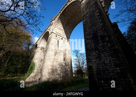 Newquay Cornwall UK 1118 2022 Trenance Gardens Foto Stock