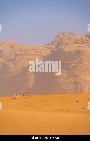 Cammelli nelle montagne di Wadi Rum Giordania Foto Stock