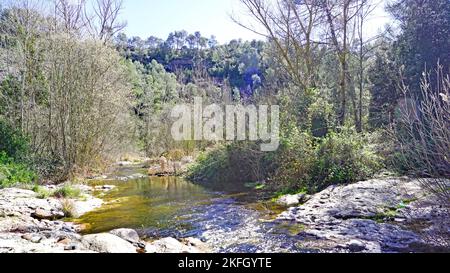 Parco naturale di Sant Llorens de Munt i l'Obac, Bages, regioni di Moyanés; Comarca del Valles Occidental, Barcellona, Catalunya, Spagna, Europa Foto Stock