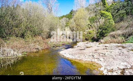 Parco naturale di Sant Llorens de Munt i l'Obac, Bages, regioni di Moyanés; Comarca del Valles Occidental, Barcellona, Catalunya, Spagna, Europa Foto Stock