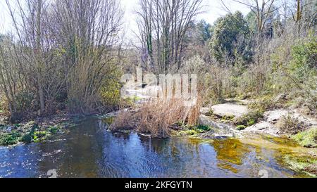 Parco naturale di Sant Llorens de Munt i l'Obac, Bages, regioni di Moyanés; Comarca del Valles Occidental, Barcellona, Catalunya, Spagna, Europa Foto Stock