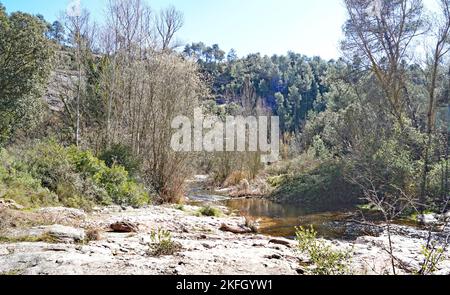 Parco naturale di Sant Llorens de Munt i l'Obac, Bages, regioni di Moyanés; Comarca del Valles Occidental, Barcellona, Catalunya, Spagna, Europa Foto Stock