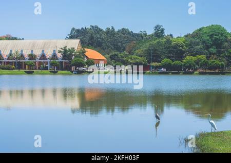 Paesaggio con lago, albero, cigni e una casa sullo sfondo, luce naturale. Foto Stock