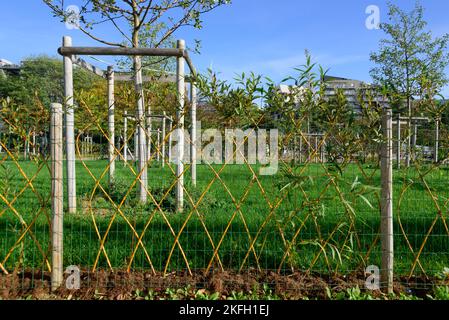 Parigi, Parc Clichy-Batignolles - Martin Luther King // Parigi, Parc Clichy-Batignolles - Martin Luther King Foto Stock