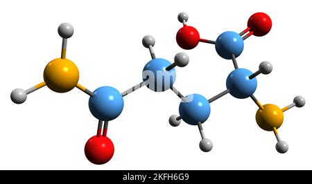 3D immagine della formula scheletrica della glutammina - struttura chimica molecolare dell'amminoacido isolato su sfondo bianco Foto Stock