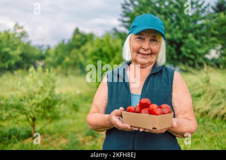 Coltivatori di fragole con raccolto. Donna contadina mani con fragole fresche in scatola di carta ecologica in giardino su un mercato agricolo in estate Foto Stock