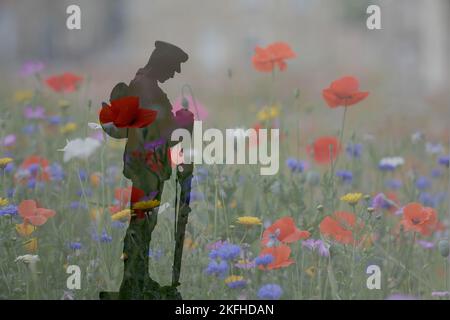 Due immagini composite. Immagine di fiori selvatici presa in Burnley Lancashire, Regno Unito, e la seconda a Slaidburn War Memorial Foto Stock