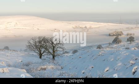 Alberi di Lone sulla collina. Colline coperte di neve e serbatoio ghiacciato sullo sfondo. Nebbia sopra il bacino idrico di Clowbridge, Dunnockshaw, Rossendale Lancs Foto Stock