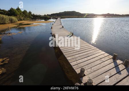 Promenade des Pontons,passerella,passeggiata,passeggiata,escursione,trekking,lungo,il,etangs,paludi di sale,laghi,ex, lagune di sale,at,Peyriac,Peyriac de Mer,Etang Du Doul, et, De la Saline,agosto,estate,Aude,sud della Francia,Francia,francese,Europa,europea,stile di vita,cielo blu,all'aperto,splendido,stile di vita,all'aperto, Foto Stock