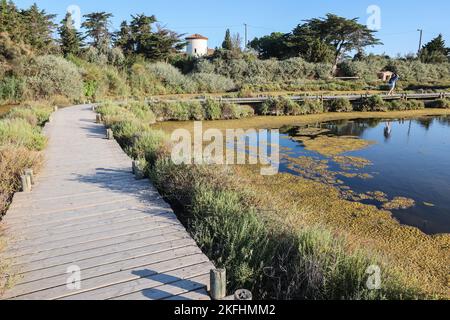 Promenade des Pontons,passerella,passeggiata,passeggiata,escursione,trekking,lungo,il,etangs,paludi di sale,laghi,ex, lagune di sale,at,Peyriac,Peyriac de Mer,Etang Du Doul, et, De la Saline,agosto,estate,Aude,sud della Francia,Francia,francese,Europa,europea,stile di vita,cielo blu,all'aperto,splendido,stile di vita,all'aperto, Foto Stock