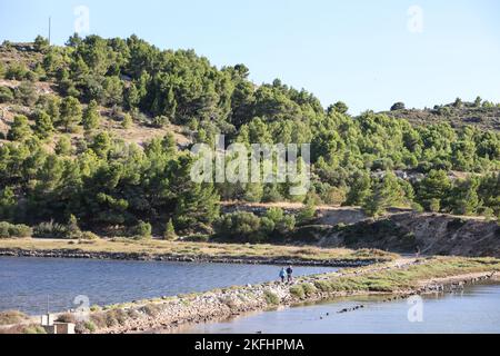 Promenade des Pontons,passerella,passeggiata,passeggiata,escursione,trekking,lungo,il,etangs,paludi di sale,laghi,ex, lagune di sale,at,Peyriac,Peyriac de Mer,Etang Du Doul, et, De la Saline,agosto,estate,Aude,sud della Francia,Francia,francese,Europa,europea,stile di vita,cielo blu,all'aperto,splendido,stile di vita,all'aperto, Foto Stock