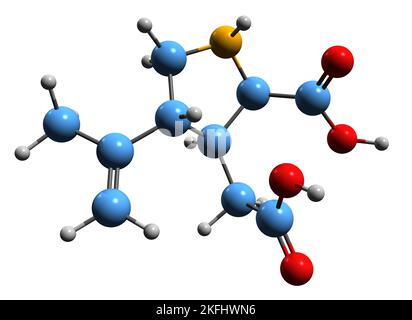 3D immagine della formula scheletrica dell'acido kainico - struttura chimica molecolare del chainato di neurotossina isolato su sfondo bianco Foto Stock