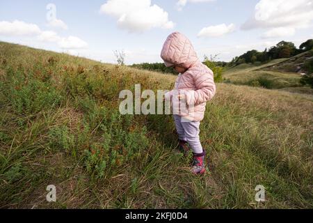 Ragazza carina cucciolata che cammina sulla collina autunnale indossando una giacca rosa con cappuccio e stivali di gomma. Foto Stock