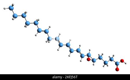 3D immagine del leucotriene A4 formula scheletrica - struttura chimica molecolare del mediatore infiammatorio eicosanoide isolato su sfondo bianco Foto Stock