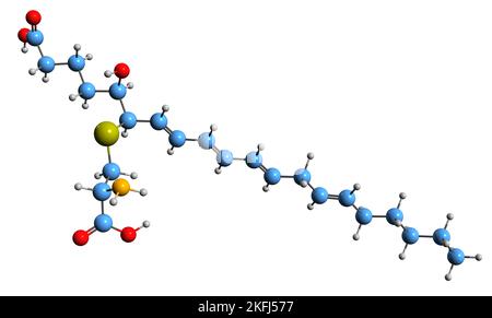 3D immagine del leucotriene E4 formula scheletrica - struttura chimica molecolare del mediatore infiammatorio eicosanoide isolato su sfondo bianco Foto Stock